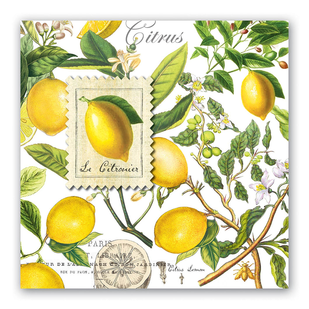 Lemon Basil Michel Design Works Luncheon Napkins