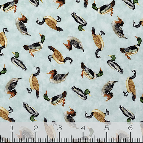 Down by the Lake Collection Ducks Cotton Fabric light blue