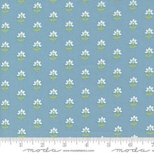 Shoreline Collection Coastal Florals Cotton Fabric 55301 light blue