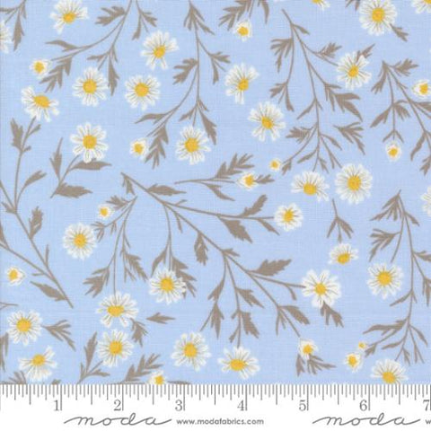 light blue, Sun Drenched Collection Wild Daisy Cotton Fabric 43200