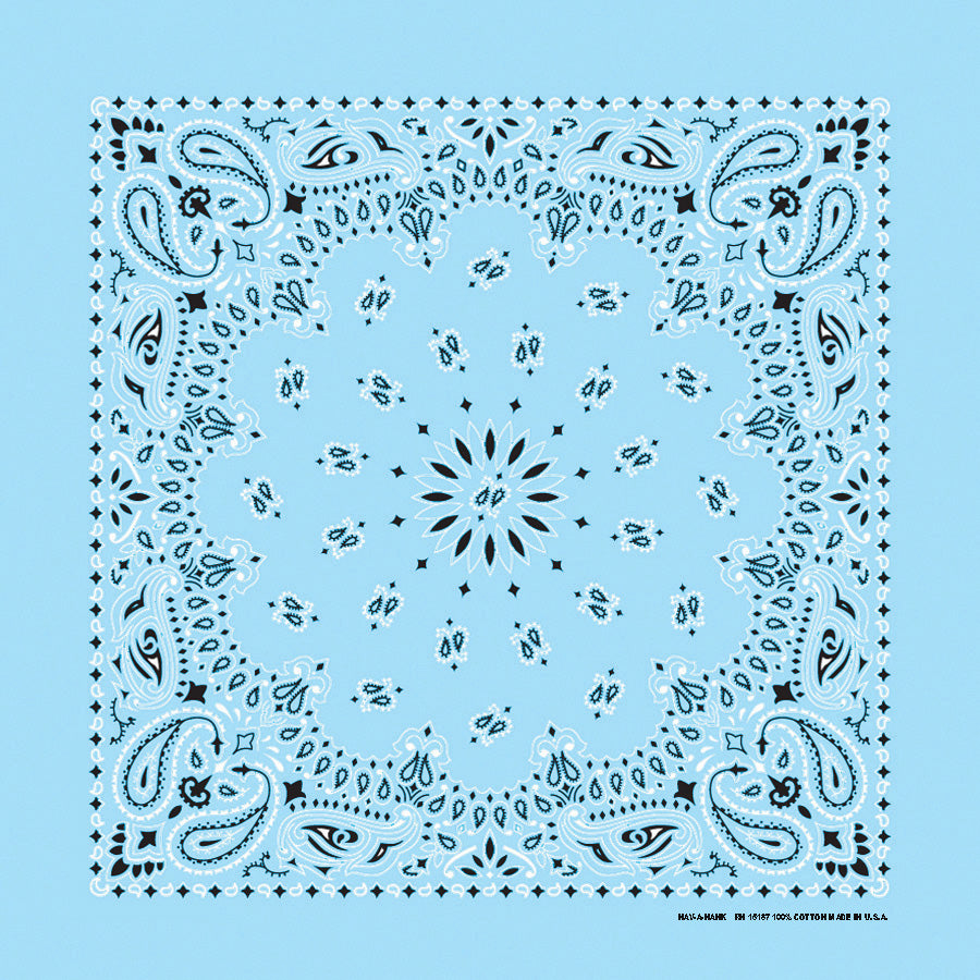 Light blue Paisley Handkerchief