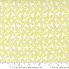 Cinammon and Cream Collection Acorn Vines Cotton Fabric light green