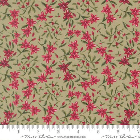 light green, Silent Night Collection Star of Bethlehem Cotton Fabric 40055
