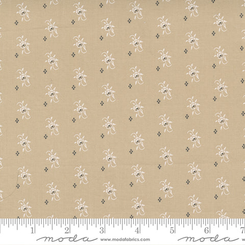 linen colered FRESH FIG FAVORITES