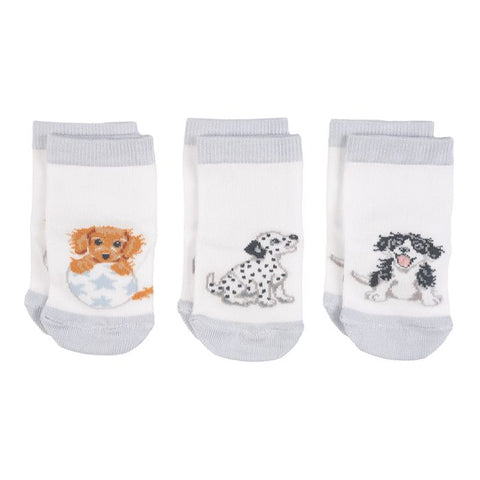 little paws, Animal Baby Socks LTW