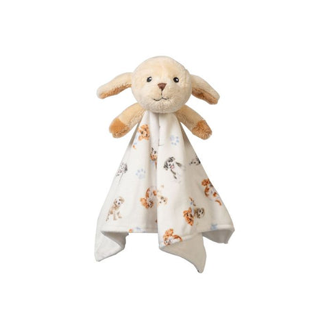 little paws, Baby Plush Comforter LTW-PC00