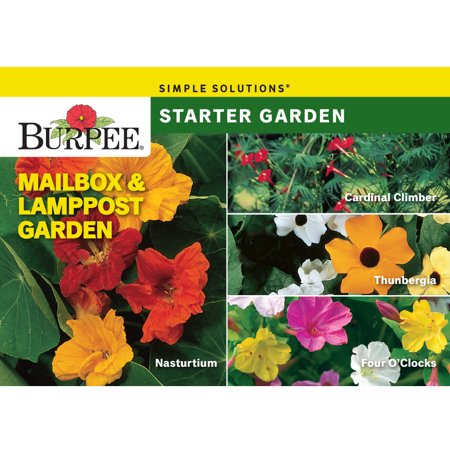 Mailbox and Lamppost Garden Seed Packet 68911