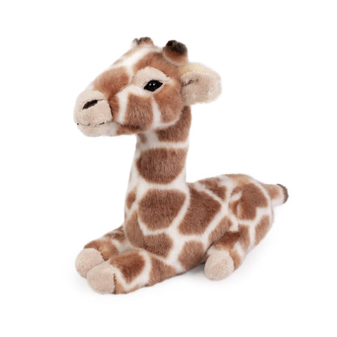 Giraffe Calf Stuffed Animal Toy AN791