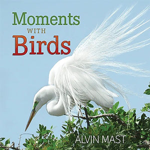 Moments with Birds