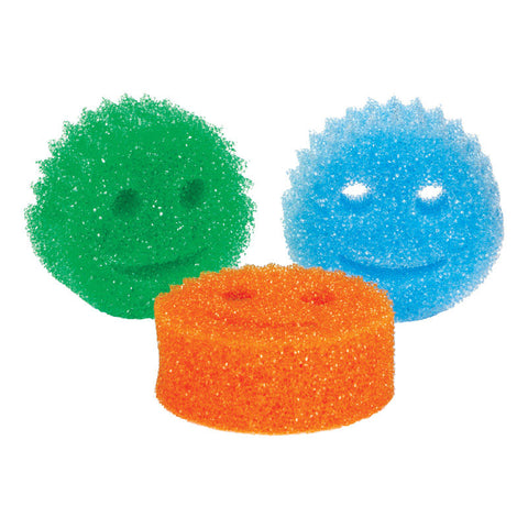 Sponges