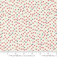 Vintage Collection X Pattern Cotton Fabric 55657 multi