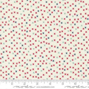 Vintage Collection X Pattern Cotton Fabric 55657 multi