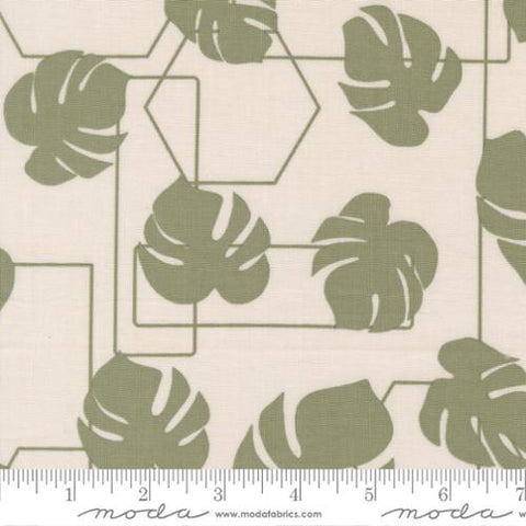 natural, Potted Collection Monstera Geo Canvas Cotton Fabric 26142