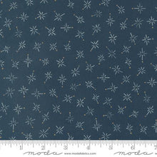 Longshore Collection Compass Cotton Fabric 24614 navy