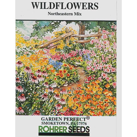 Northeastern flower mix