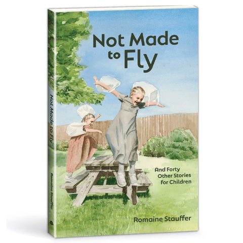 Not Made to Fly 265695