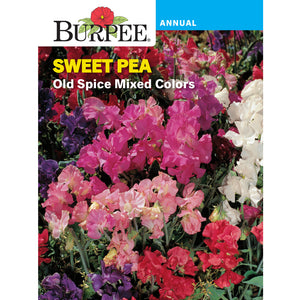 Old Spice Sweet Pea seed pack