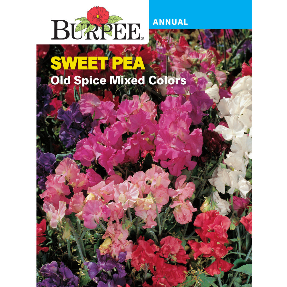 Old Spice Sweet Pea seed pack