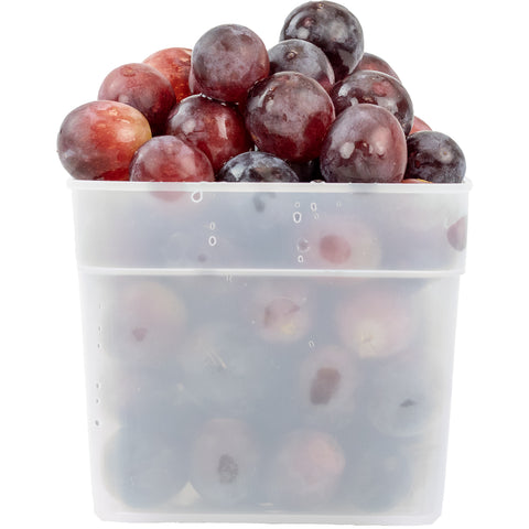 1.5 Pint Size Freezer Boxes 6 Pack FT4300 1.5 PT with fruit