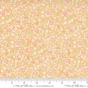 Cinnamon and Cream Collection Fall Medley Cotton Fabric orange