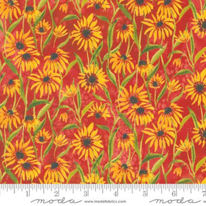 Floribunda Collection Blackeyed Suzie Q Cotton Fabric 39805 orange background