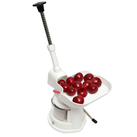 Cherries in Orchard pitter