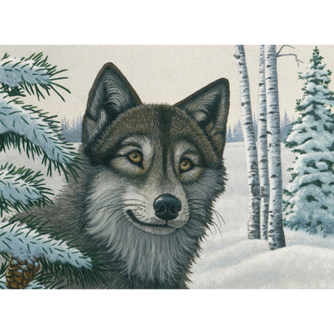 Snow Wolf Paint by Numbers