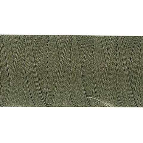 Palm Leaf