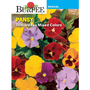 Pansy Seed pack
