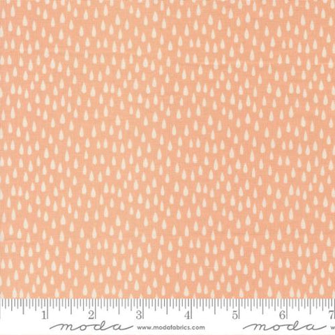 Noahs Ark Collection The Storm Cotton Fabric 20875 peach
