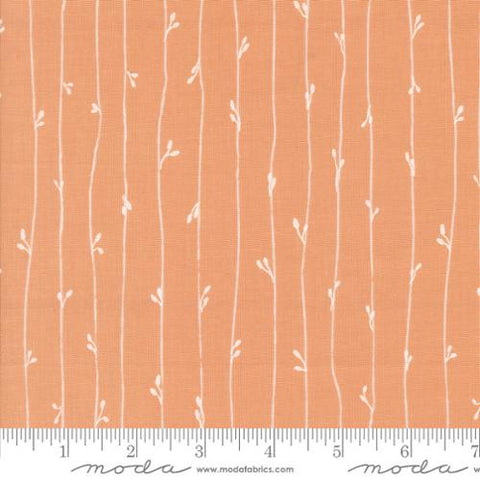 peach, Rainier Collection Stripes Cotton Fabric 38146