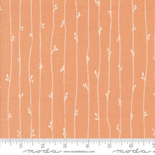 peach, Rainier Collection Stripes Cotton Fabric 38146