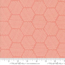 pink, Bee Garden Collection Honeycomb Cotton Fabric 48416