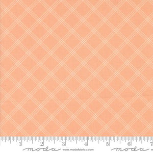 Flower Girl Collection Checks and Plaids Cotton Fabric 31737 pink