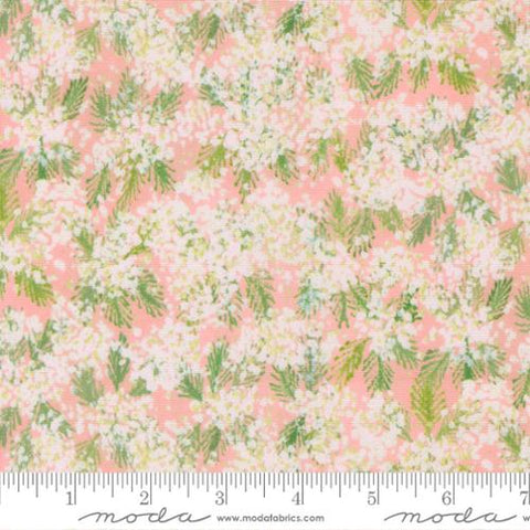 pink, Sweet Cecily Collection Queen Anne Floral Cotton Fabric 24642