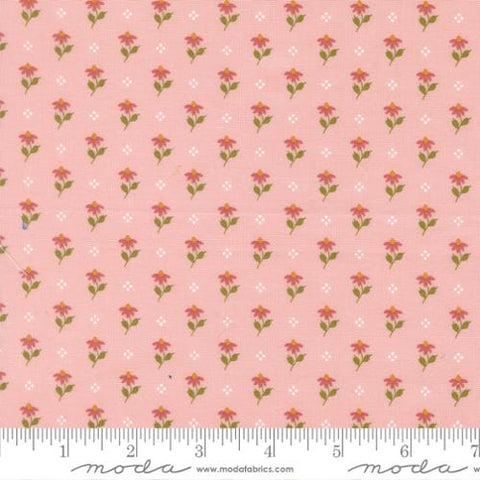 pink, Wild Honey Collection Bumbling Posies Cotton Fabric 5252