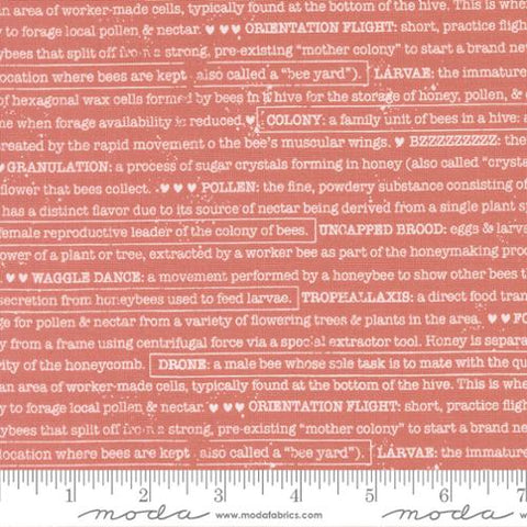 pink, Wild Honey Collection Buzz Words Cotton Fabric 5254