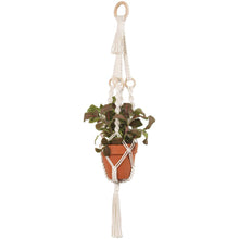 Plant hanger with potted plant