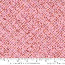 Wild Blossoms Collection Blotted Graph Paper Cotton Fabric 48737 princess