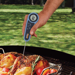 Man Checking Temperature of Meat