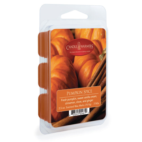 Candle Warmers 2.5 Oz. Candle Wax Melts – Good's Store Online