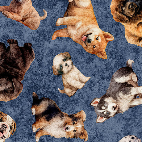 puppy toss, Cuties II Collection Cotton Fabric 314