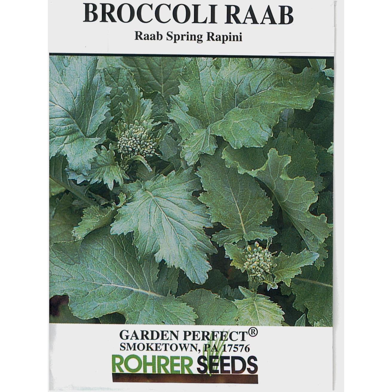Rohrer Raab Spring Rapini Broccoli Seed Pack 9900640 – Good's Store Online