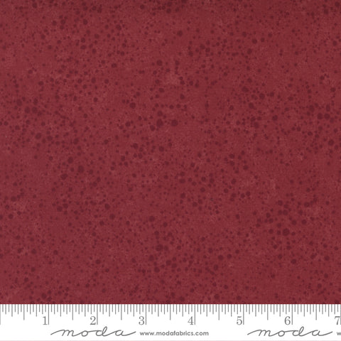 Kansas Troubles Collection 108 Inch Cotton Fabric Quilt Backing 11167