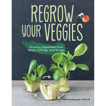 Regrow Your Veggies book