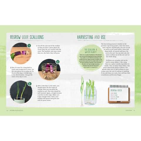 Regrow Your Veggies book