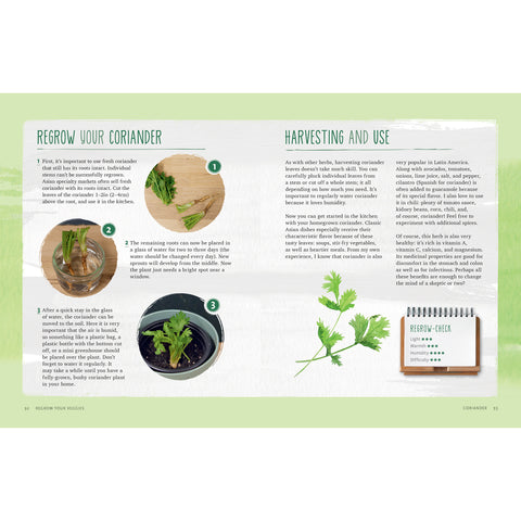Regrow Your Veggies book
