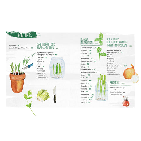 Regrow Your Veggies book