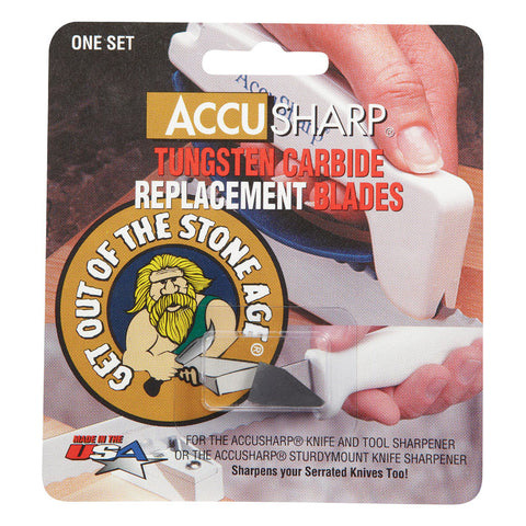 Replacement blades in package