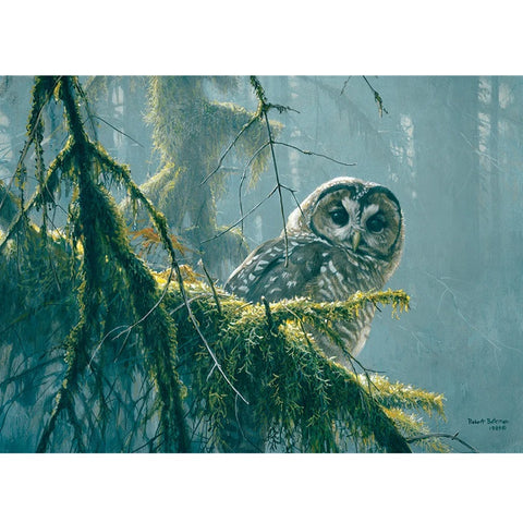 Mossy Branches - Spotted Owl - 500pc Jigsaw Puzzle 85002